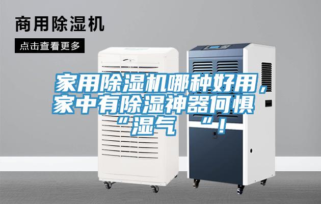 家用除濕機哪種好用，家中有除濕神器何懼 “濕氣 “！