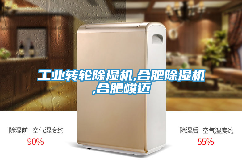 工業(yè)轉輪除濕機,合肥除濕機,合肥峻邁
