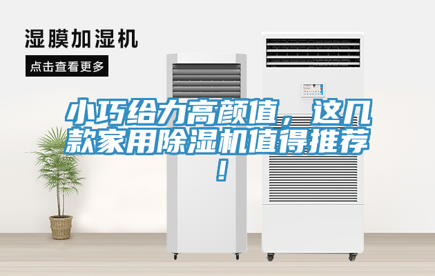 小巧給力高顏值，這幾款家用除濕機(jī)值得推薦！