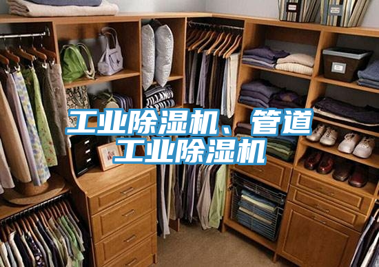 工業(yè)除濕機(jī)、管道工業(yè)除濕機(jī)
