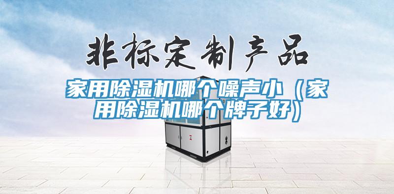 家用除濕機(jī)哪個(gè)噪聲?。矣贸凉駲C(jī)哪個(gè)牌子好）