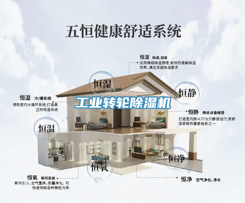工業(yè)轉輪除濕機