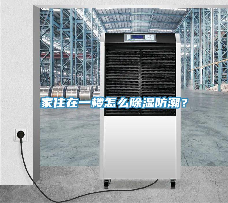 家住在一樓怎么除濕防潮？