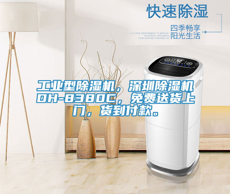 工業(yè)型除濕機(jī)，深圳除濕機(jī)DH-8380C，免費(fèi)送貨上門，貨到付款。