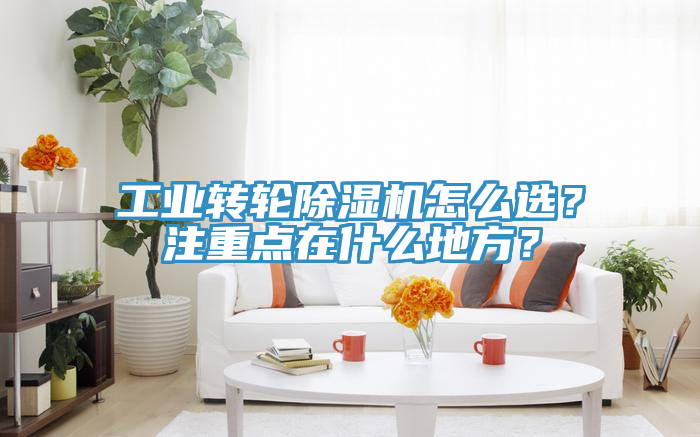 工業(yè)轉輪除濕機怎么選？注重點在什么地方？