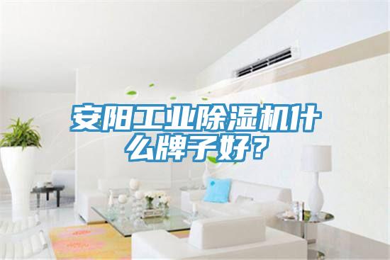 安陽(yáng)工業(yè)除濕機(jī)什么牌子好？