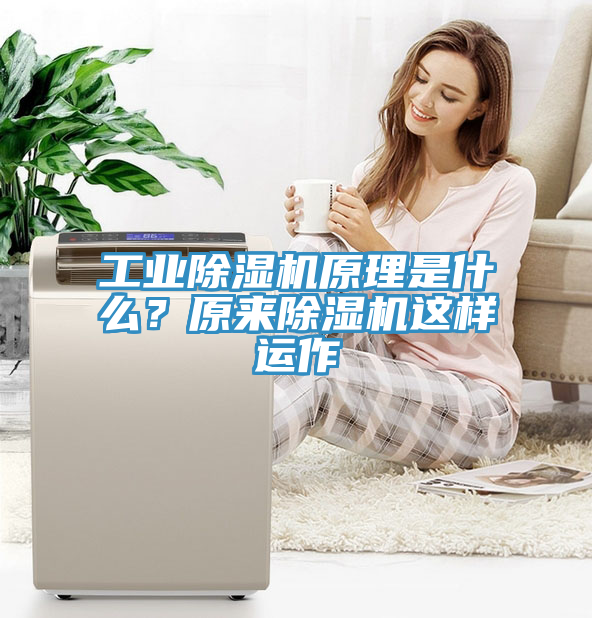 工業(yè)除濕機(jī)原理是什么？原來除濕機(jī)這樣運作