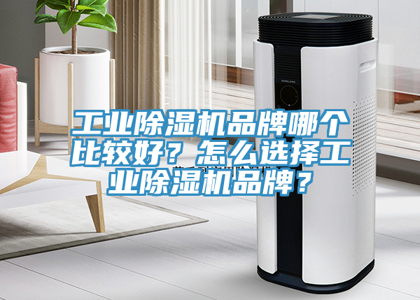 工業(yè)除濕機(jī)品牌哪個(gè)比較好？怎么選擇工業(yè)除濕機(jī)品牌？