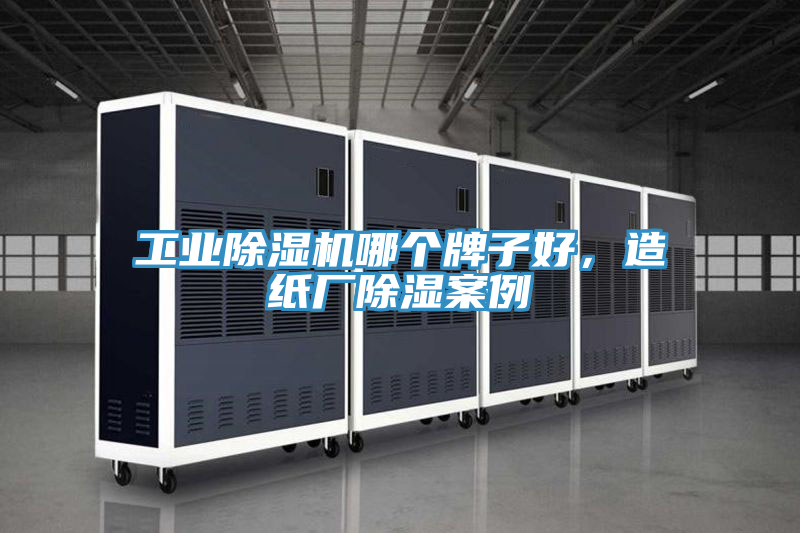 工業(yè)除濕機哪個牌子好，造紙廠除濕案例