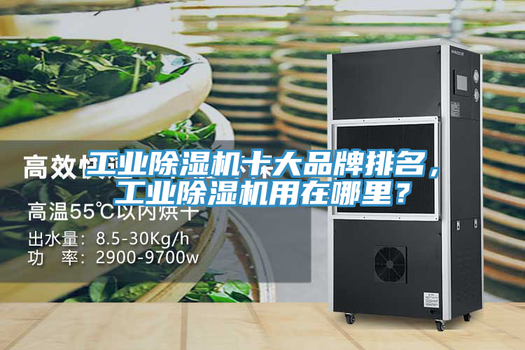 工業(yè)除濕機(jī)十大品牌排名，工業(yè)除濕機(jī)用在哪里？