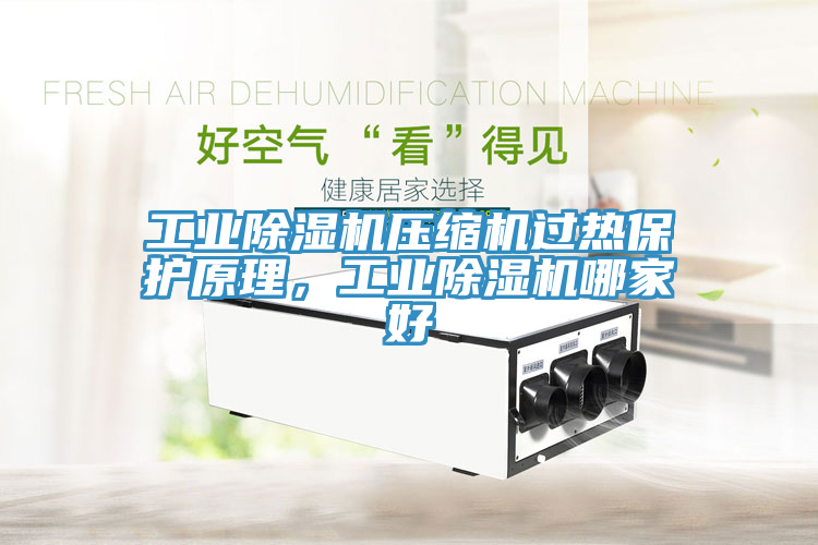 工業(yè)除濕機(jī)壓縮機(jī)過熱保護(hù)原理，工業(yè)除濕機(jī)哪家好
