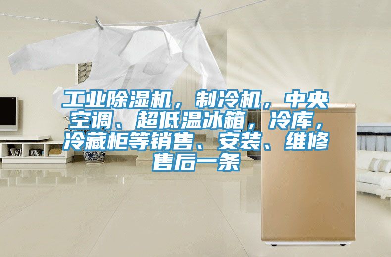 工業(yè)除濕機(jī)，制冷機(jī)，中央空調(diào)、超低溫冰箱，冷庫(kù)，冷藏柜等銷(xiāo)售、安裝、維修售后一條