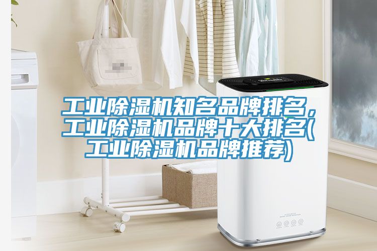 工業(yè)除濕機(jī)知名品牌排名，工業(yè)除濕機(jī)品牌十大排名(工業(yè)除濕機(jī)品牌推薦)