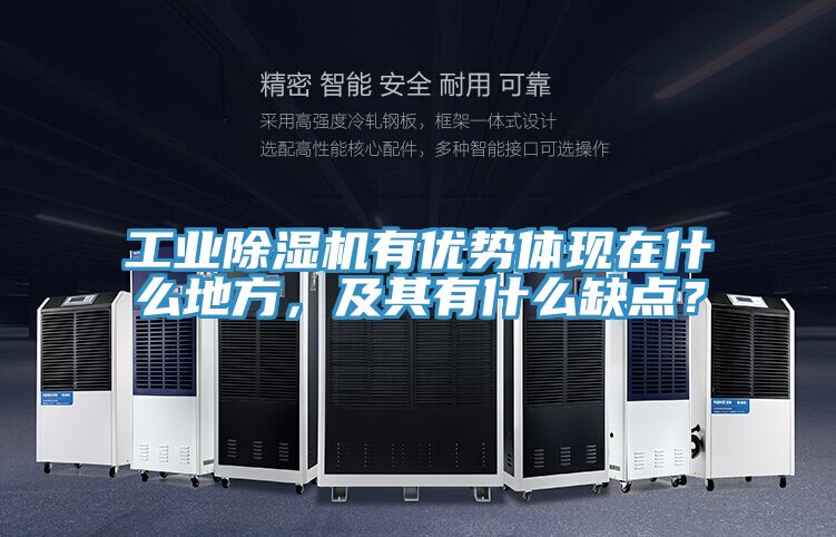 工業(yè)除濕機有優(yōu)勢體現(xiàn)在什么地方，及其有什么缺點？
