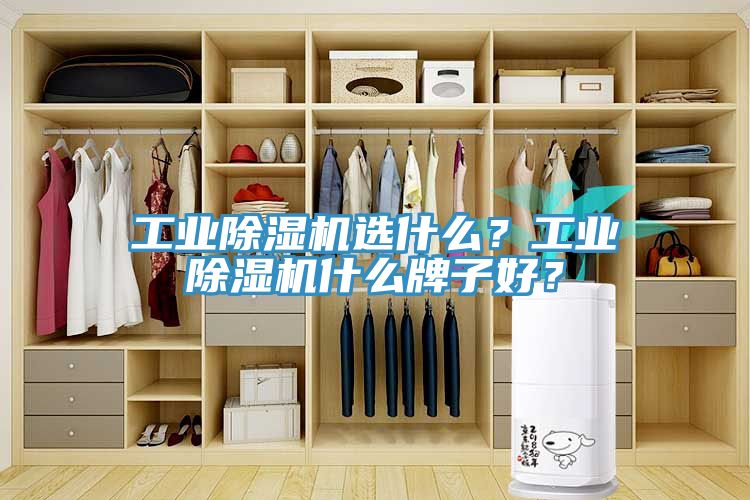 工業(yè)除濕機選什么？工業(yè)除濕機什么牌子好？