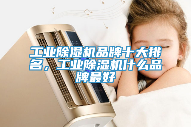 工業(yè)除濕機(jī)品牌十大排名，工業(yè)除濕機(jī)什么品牌最好