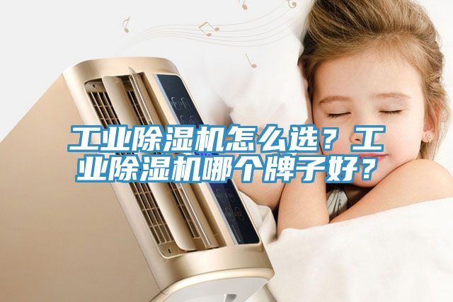 工業(yè)除濕機怎么選？工業(yè)除濕機哪個牌子好？