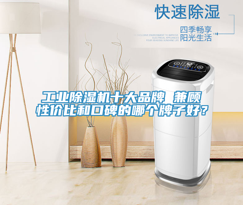 工業(yè)除濕機(jī)十大品牌 兼顧性價(jià)比和口碑的哪個(gè)牌子好？