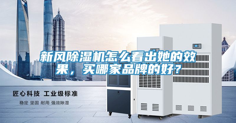 新風(fēng)除濕機(jī)怎么看出她的效果，買哪家品牌的好？