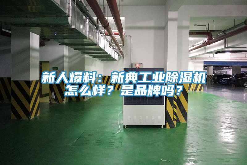 新人爆料：新典工業(yè)除濕機怎么樣？是品牌嗎？