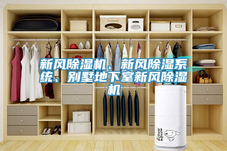 新風(fēng)除濕機(jī)、新風(fēng)除濕系統(tǒng)、別墅地下室新風(fēng)除濕機(jī)