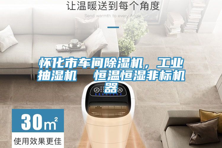 懷化市車間除濕機，工業(yè)抽濕機  恒溫恒濕非標(biāo)機器