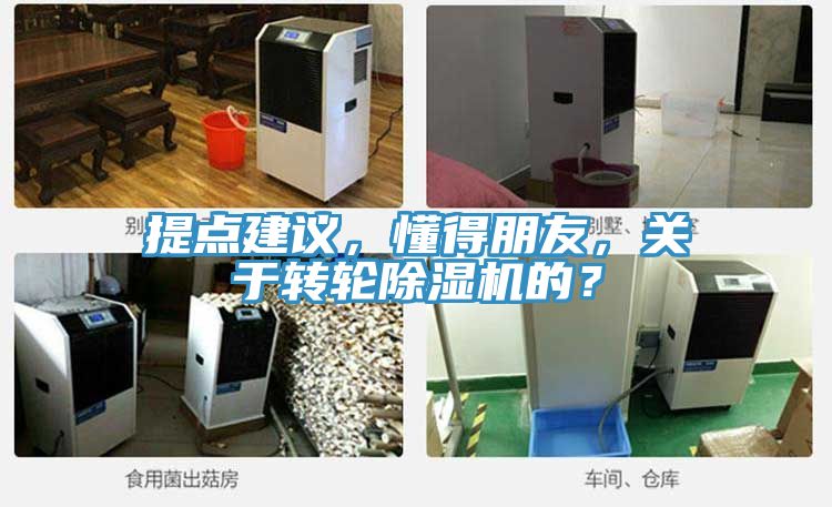 提點(diǎn)建議，懂得朋友，關(guān)于轉(zhuǎn)輪除濕機(jī)的？