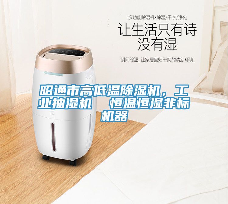 昭通市高低溫除濕機(jī)，工業(yè)抽濕機(jī)  恒溫恒濕非標(biāo)機(jī)器