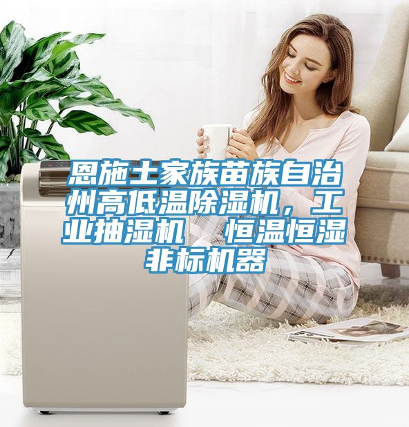 恩施土家族苗族自治州高低溫除濕機(jī)，工業(yè)抽濕機(jī)  恒溫恒濕非標(biāo)機(jī)器