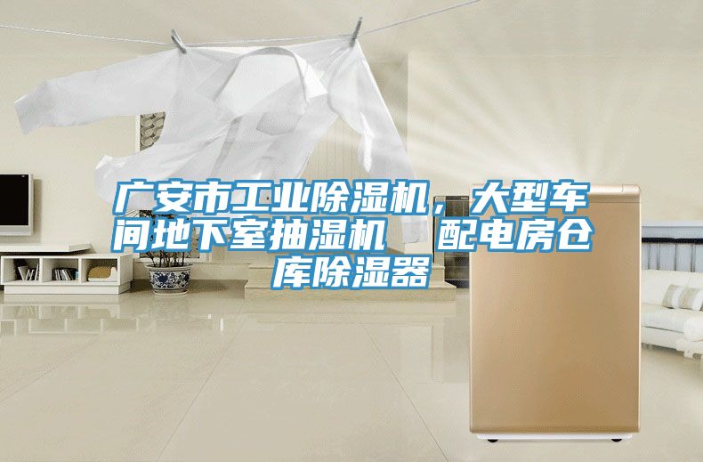 廣安市工業(yè)除濕機，大型車間地下室抽濕機  配電房倉庫除濕器