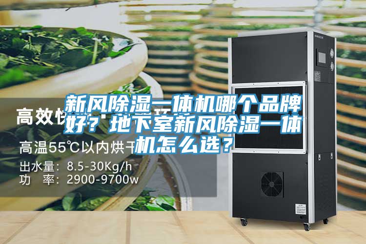 新風(fēng)除濕一體機哪個品牌好？地下室新風(fēng)除濕一體機怎么選？