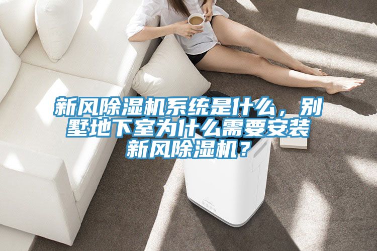 新風除濕機系統(tǒng)是什么，別墅地下室為什么需要安裝新風除濕機？