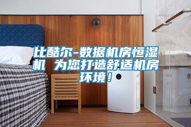 比酷爾-數(shù)據(jù)機(jī)房恒濕機(jī) 為您打造舒適機(jī)房環(huán)境！