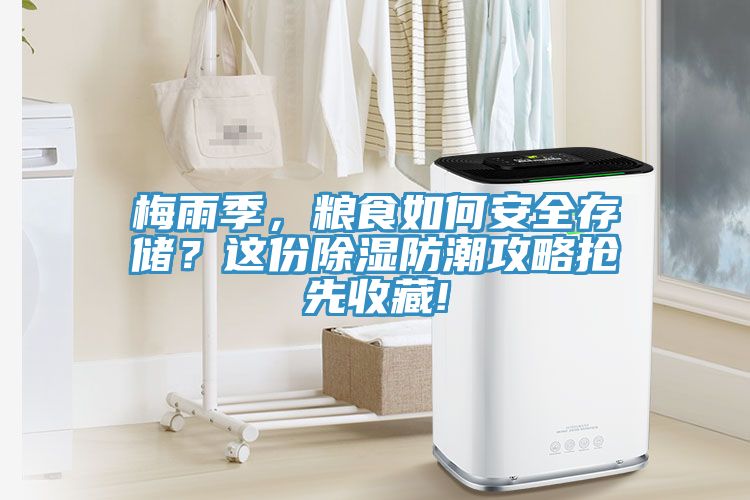 梅雨季，糧食如何安全存儲？這份除濕防潮攻略搶先收藏!