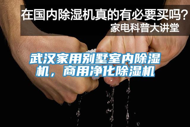 武漢家用別墅室內(nèi)除濕機(jī)，商用凈化除濕機(jī)