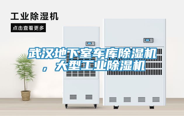 武漢地下室車庫除濕機(jī)，大型工業(yè)除濕機(jī)