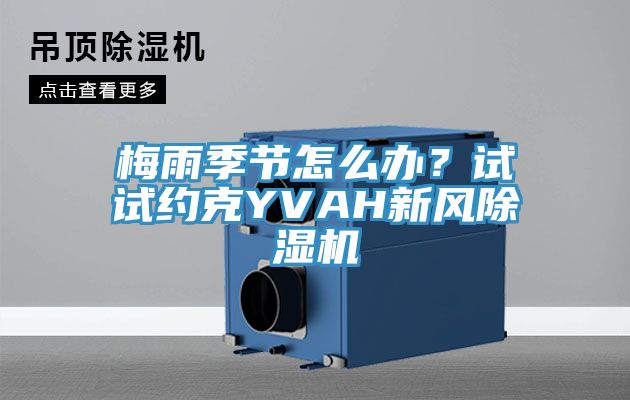 梅雨季節(jié)怎么辦？試試約克YVAH新風除濕機