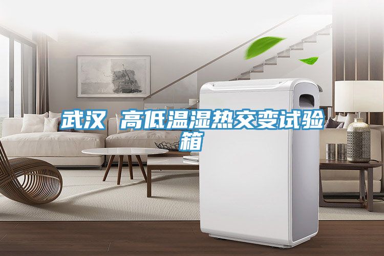 武漢 高低溫濕熱交變試驗(yàn)箱