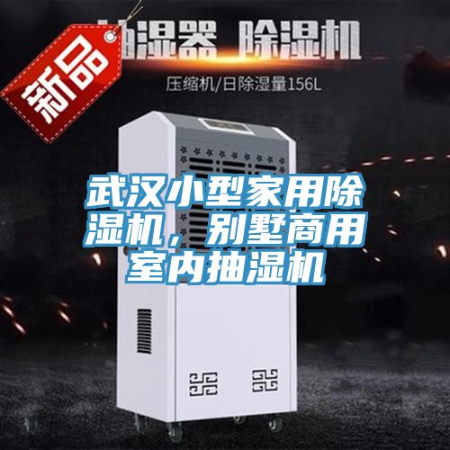 武漢小型家用除濕機(jī)，別墅商用室內(nèi)抽濕機(jī)