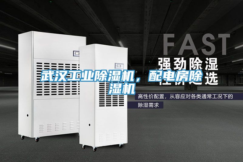 武漢工業(yè)除濕機(jī)，配電房除濕機(jī)