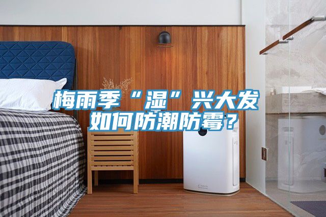梅雨季“濕”興大發(fā) 如何防潮防霉？