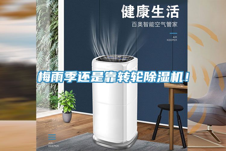 梅雨季還是靠轉(zhuǎn)輪除濕機(jī)！