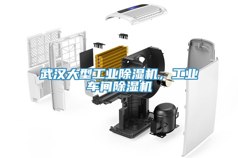 武漢大型工業(yè)除濕機(jī)，工業(yè)車間除濕機(jī)
