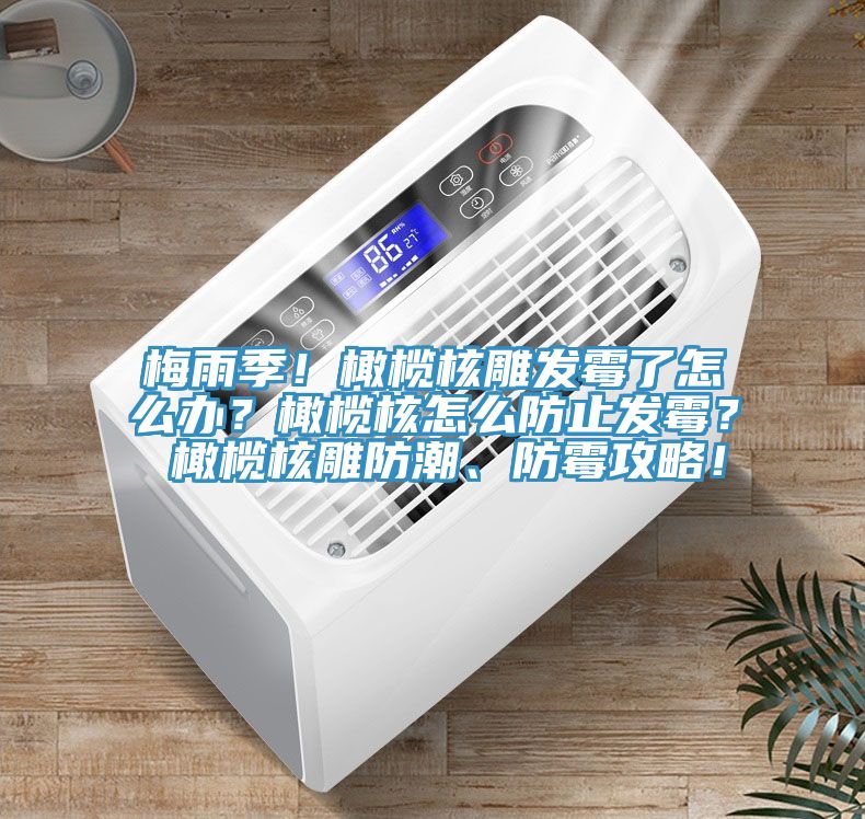 梅雨季！橄欖核雕發(fā)霉了怎么辦？橄欖核怎么防止發(fā)霉？ 橄欖核雕防潮、防霉攻略！