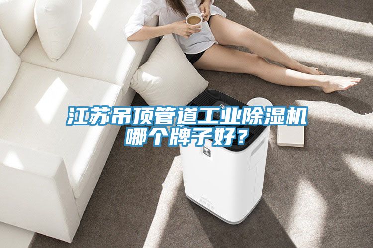 江蘇吊頂管道工業(yè)除濕機(jī)哪個(gè)牌子好？