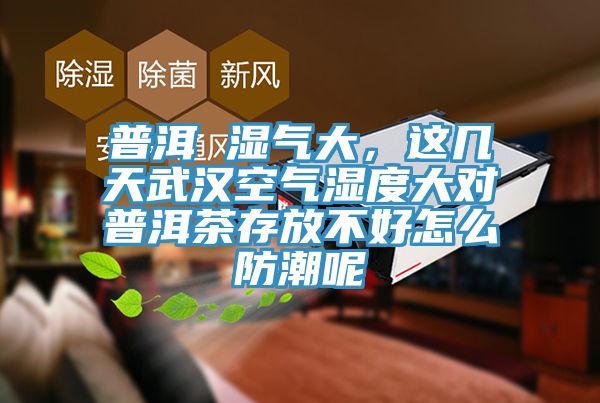 普洱 濕氣大，這幾天武漢空氣濕度大對普洱茶存放不好怎么防潮呢