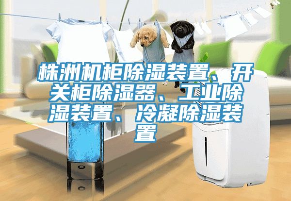株洲機(jī)柜除濕裝置、開關(guān)柜除濕器、工業(yè)除濕裝置、冷凝除濕裝置