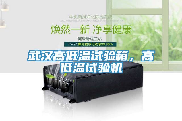 武漢高低溫試驗(yàn)箱，高低溫試驗(yàn)機(jī)