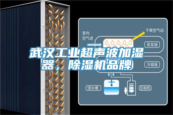 武漢工業(yè)超聲波加濕器，除濕機(jī)品牌
