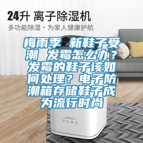 梅雨季 新鞋子受潮 發(fā)霉怎么辦？發(fā)霉的鞋子該如何處理？電子防潮箱存儲鞋子成為流行時尚
